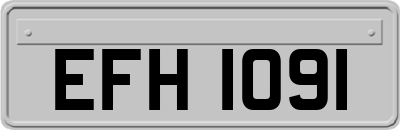 EFH1091