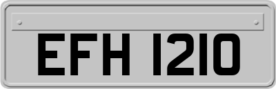 EFH1210