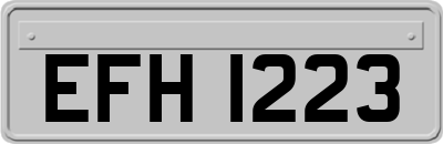 EFH1223