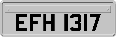 EFH1317