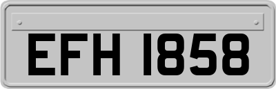 EFH1858