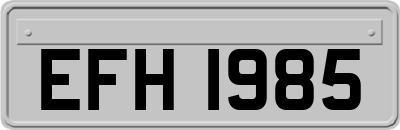 EFH1985