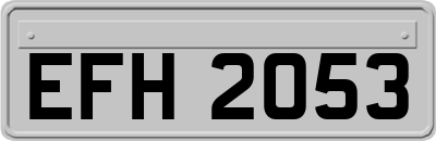 EFH2053