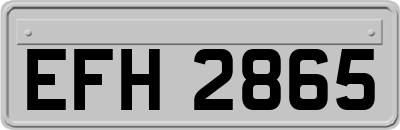EFH2865