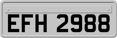 EFH2988