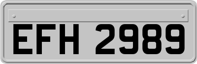 EFH2989