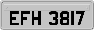 EFH3817