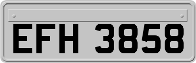EFH3858
