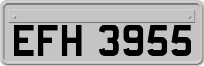 EFH3955