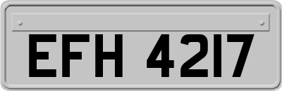 EFH4217