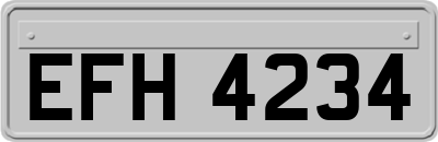 EFH4234