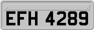EFH4289