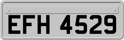 EFH4529