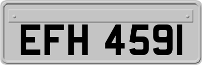 EFH4591
