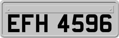 EFH4596