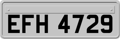 EFH4729