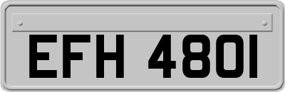 EFH4801