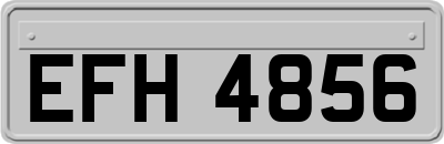 EFH4856