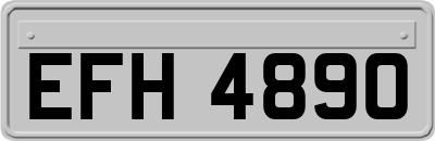 EFH4890