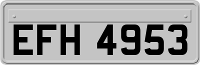 EFH4953