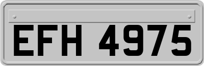 EFH4975