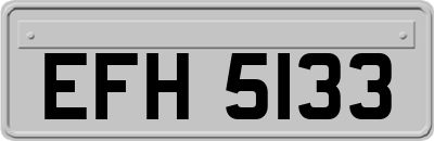 EFH5133