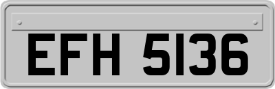EFH5136