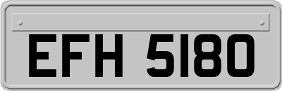 EFH5180