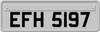 EFH5197