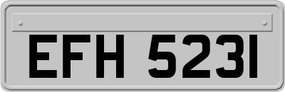 EFH5231