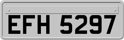 EFH5297