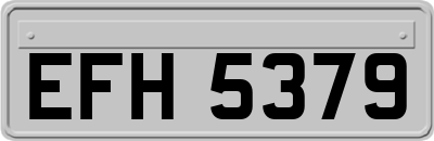 EFH5379