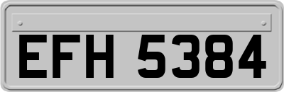 EFH5384