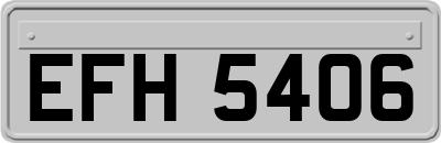 EFH5406