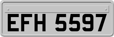EFH5597