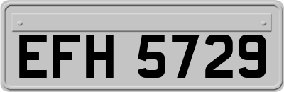 EFH5729
