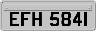 EFH5841