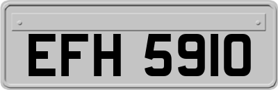 EFH5910