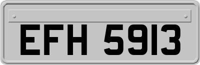 EFH5913