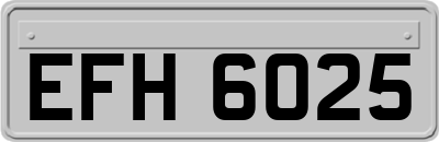EFH6025