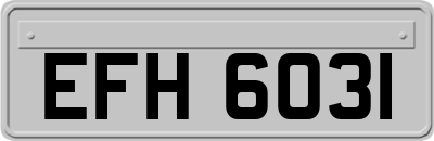 EFH6031