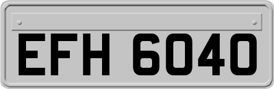 EFH6040