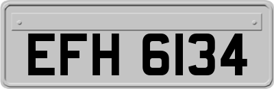 EFH6134