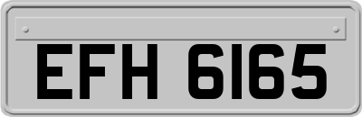 EFH6165