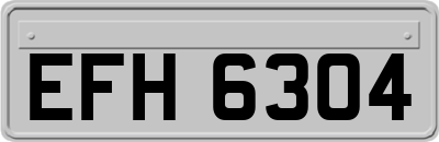 EFH6304