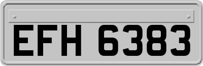 EFH6383