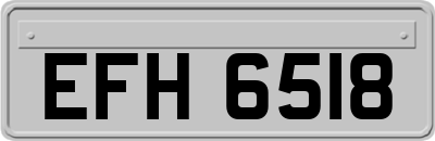 EFH6518