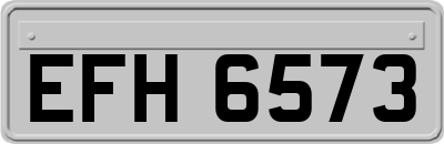 EFH6573
