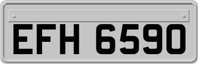 EFH6590