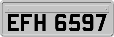 EFH6597